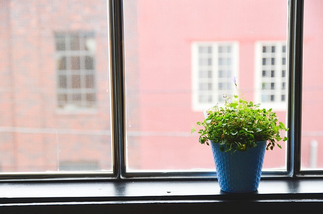 Design Biofilico: Portare la Natura in Casa
